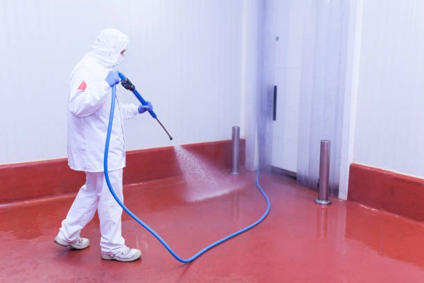 Best Patio and Deck Pressure Washing  in Montgomery Village, MD